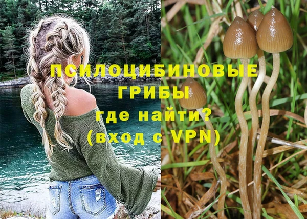 винт Вяземский