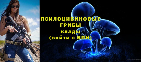 соль курить ск Вязьма