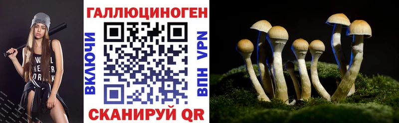 Галлюциногенные грибы мицелий  Купить  Сафоново 
